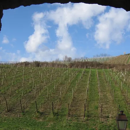 Chez Marcel Appartement Riquewihr