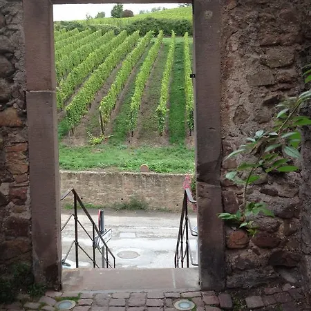 Chez Marcel Appartement Riquewihr